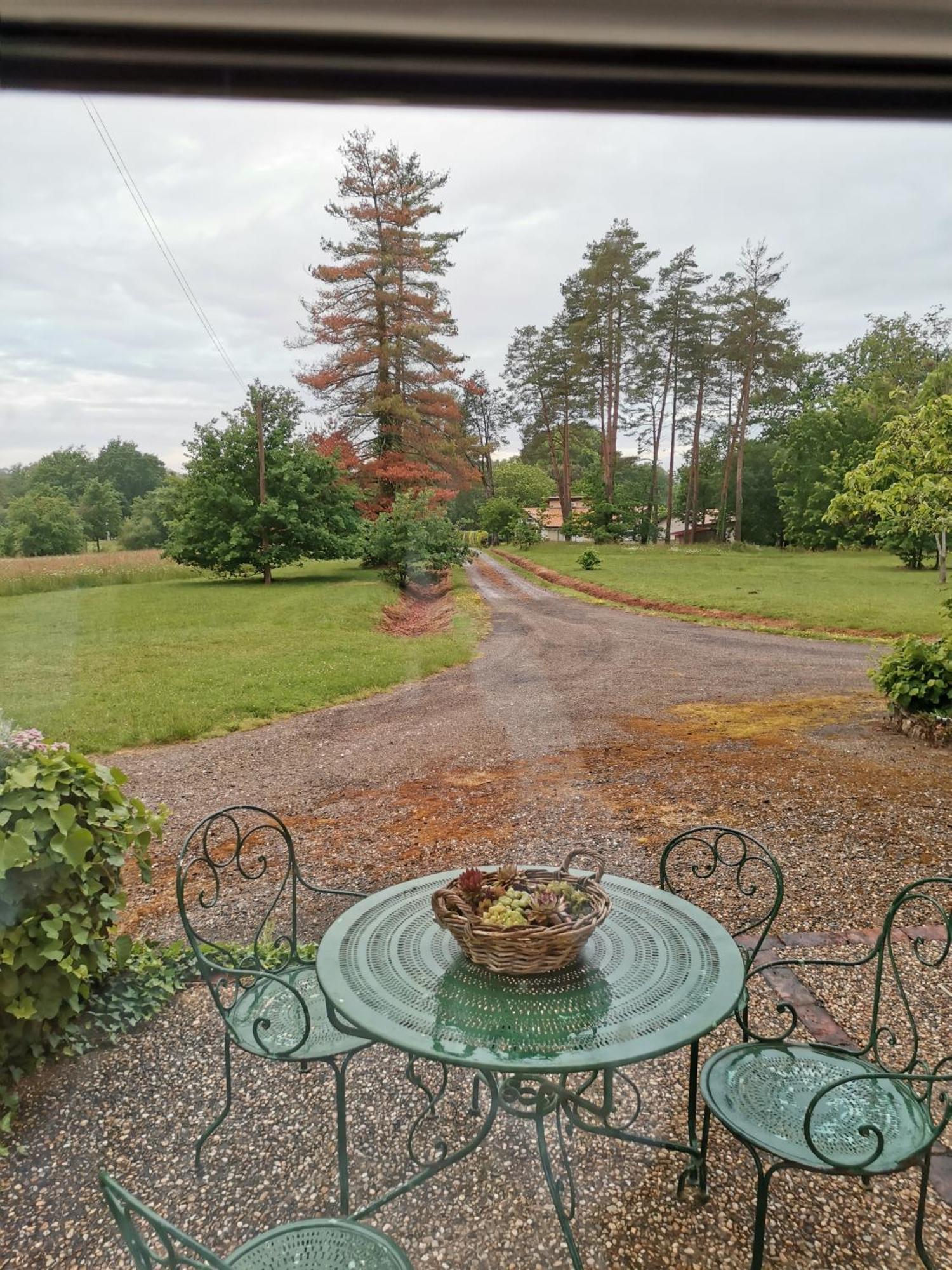 Laglorieuse Castel La Bergerie Bed & Breakfast エクステリア 写真