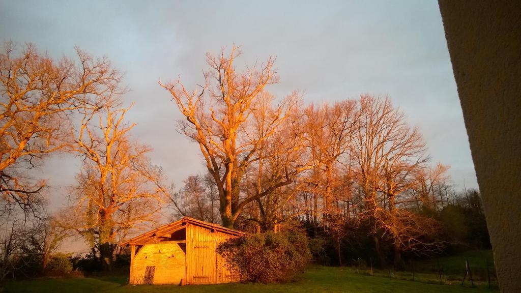 Laglorieuse Castel La Bergerie Bed & Breakfast エクステリア 写真
