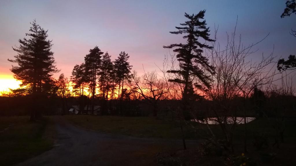 Laglorieuse Castel La Bergerie Bed & Breakfast エクステリア 写真